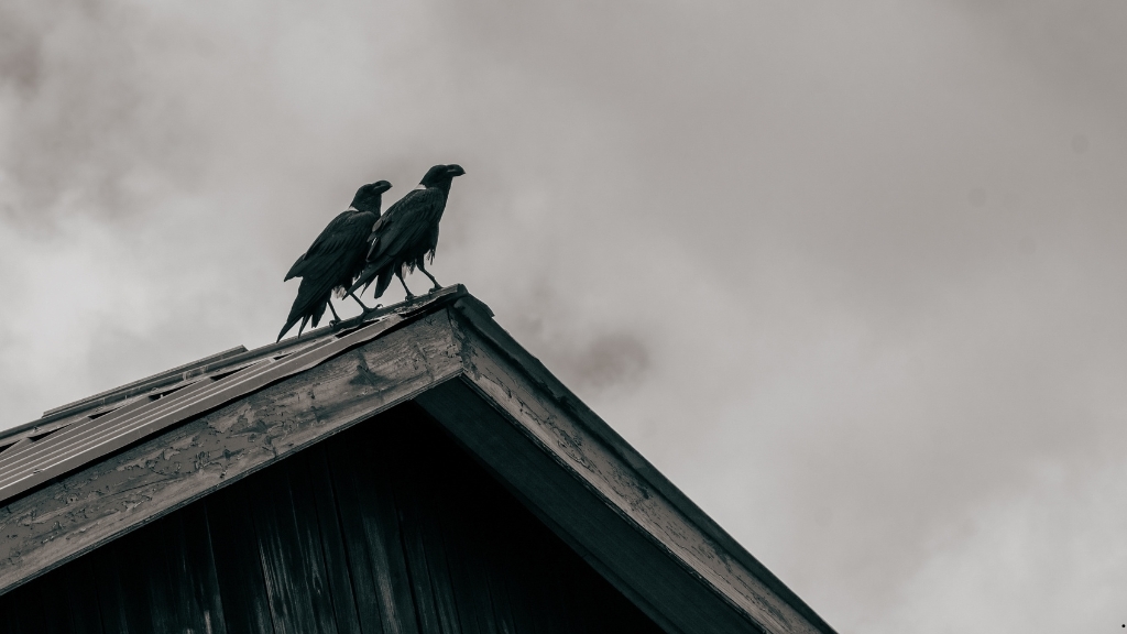 Άρθρο: Τι δεν κάνουμε όταν πεθαίνει κάποιος στο σπίτι